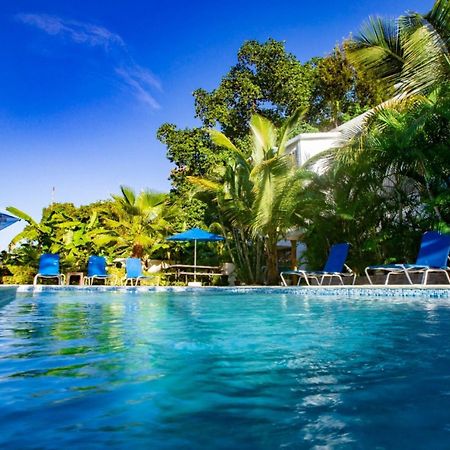 Cozy And Central Apartment 1Br-1Ba With Pool Sosua Luaran gambar